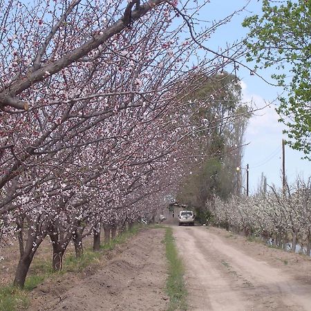 Finca La Celestita Colonia Alvear ภายนอก รูปภาพ