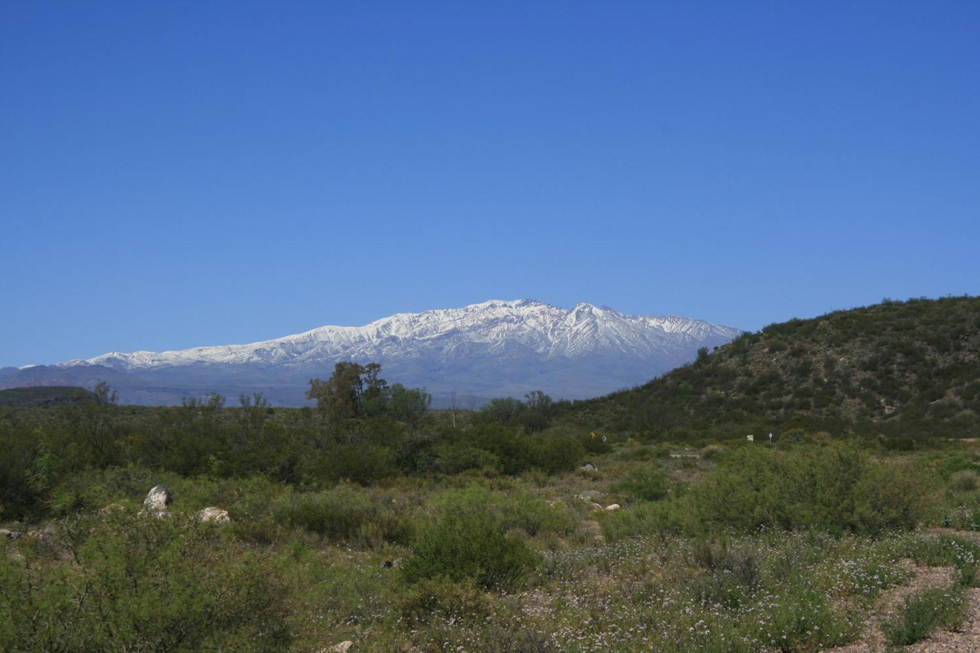 Finca La Celestita Colonia Alvear ภายนอก รูปภาพ