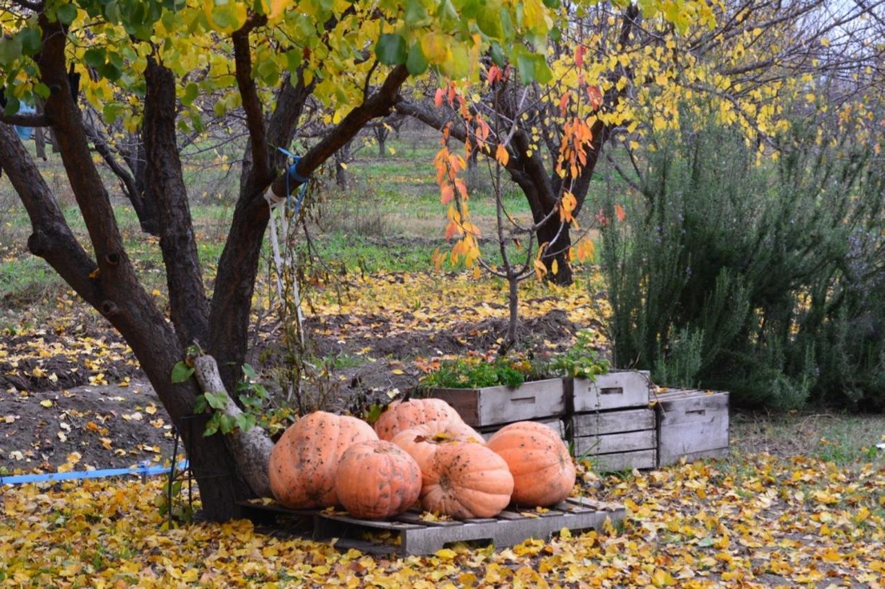 Finca La Celestita Colonia Alvear ภายนอก รูปภาพ