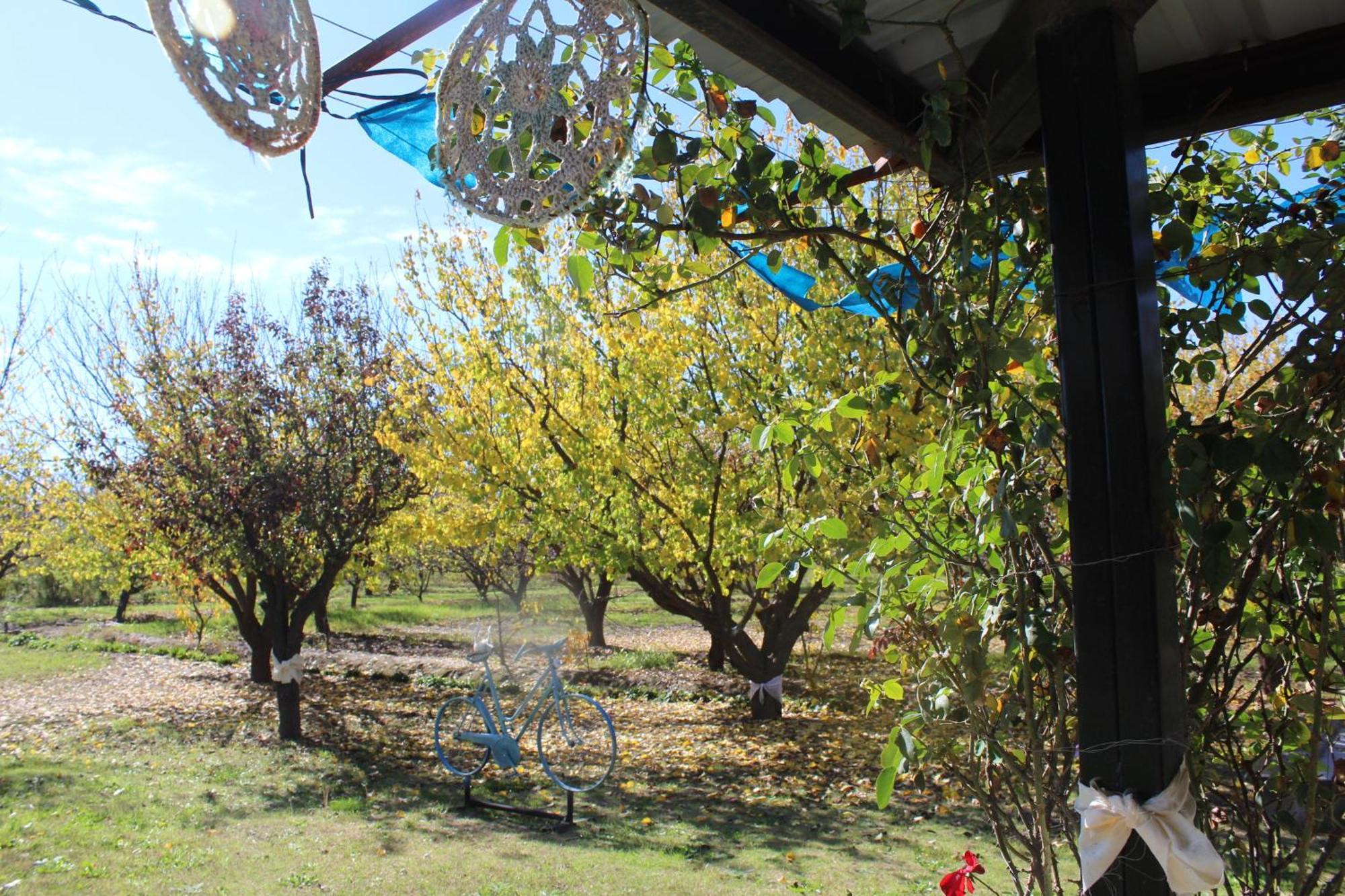 Finca La Celestita Colonia Alvear ภายนอก รูปภาพ